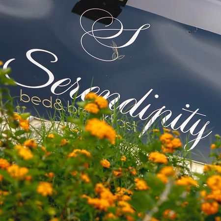 Serendipity B&B Mesyna Zewnętrze zdjęcie