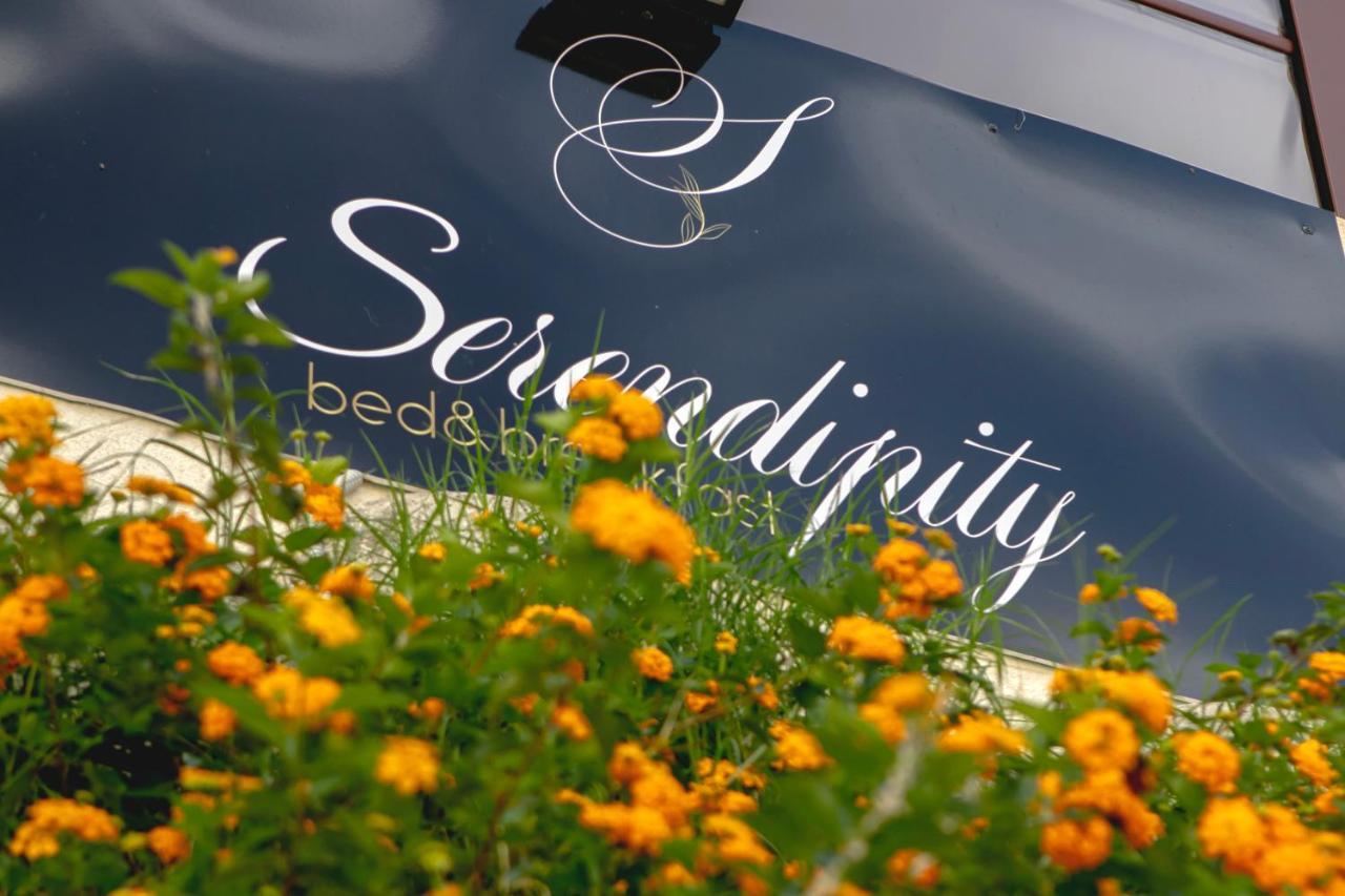 Serendipity B&B Mesyna Zewnętrze zdjęcie